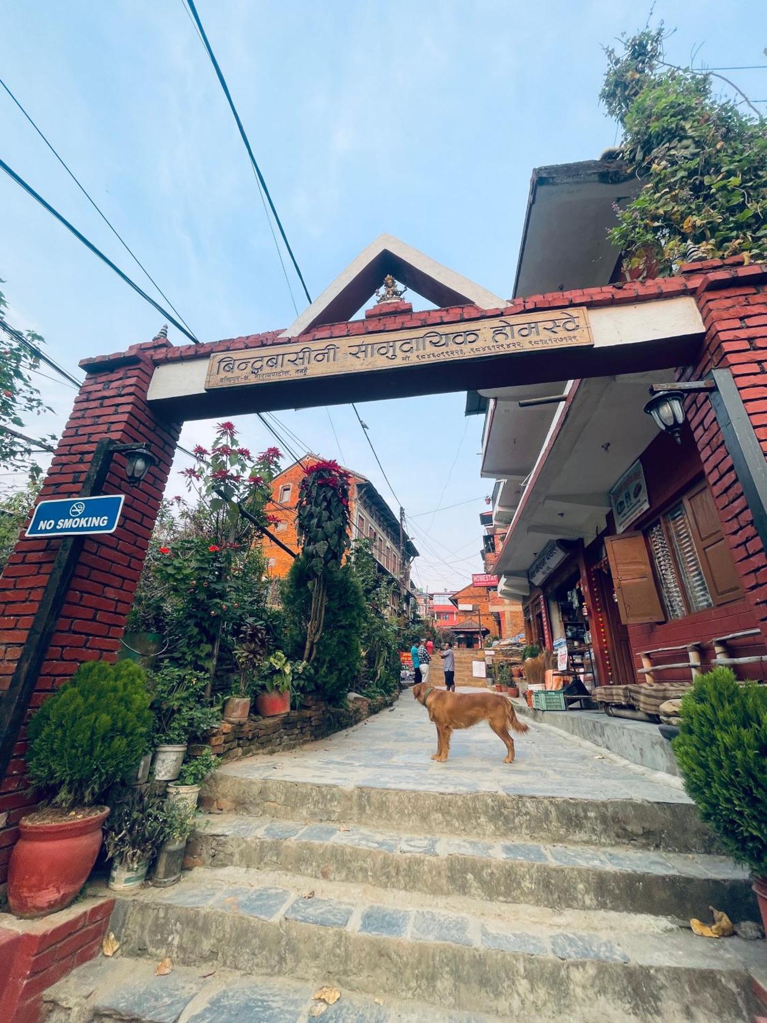 Pasne Aajako Hotel Bandipur Εξωτερικό φωτογραφία